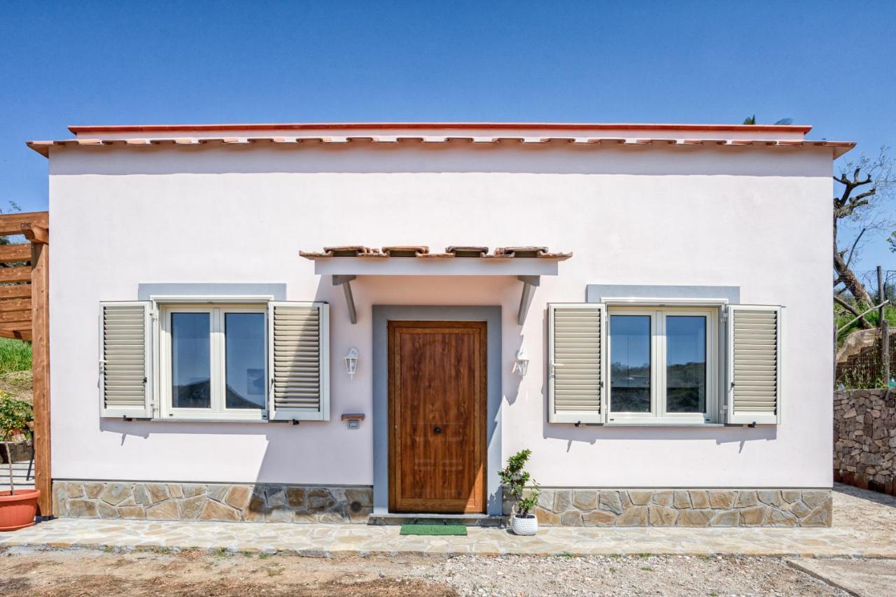 Albero Di Giada Villa Massa Lubrense Exterior foto