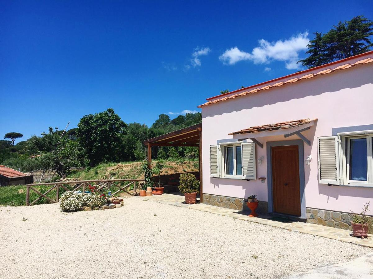 Albero Di Giada Villa Massa Lubrense Exterior foto